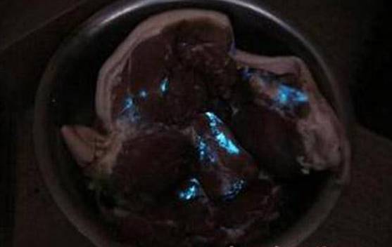 瓒呰秺璐濈埛鐨勮崚閲庢眰鐢熷畬鏁寸増,瓒呰秺璐濈埛