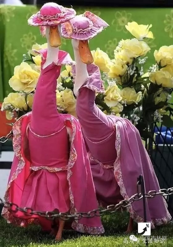 长春热企提前开栓供暖,长春市提前开栓供热通知