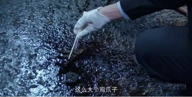 瓒呰秺璐濈埛鐨勮崚閲庢眰鐢熷畬鏁寸増,瓒呰秺璐濈埛