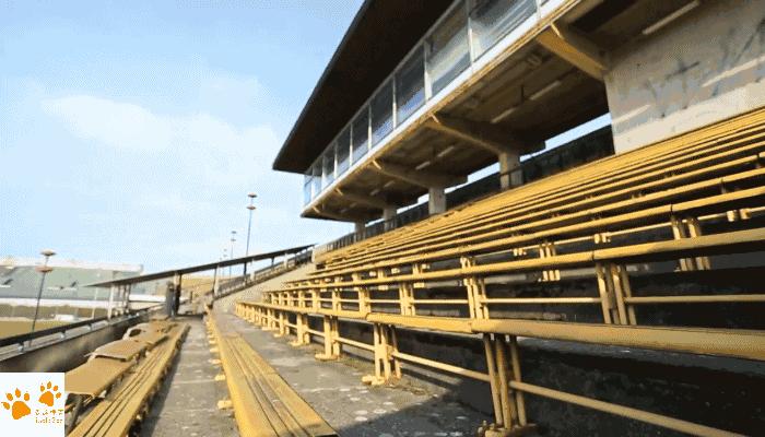 布拉格广场最有名的建筑,布拉格体育场