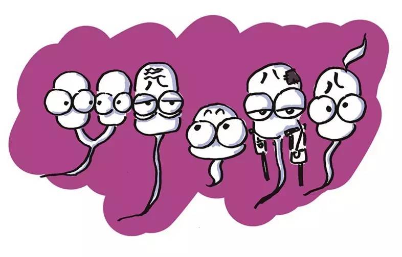 这是一篇比男人还了解“小蝌蚪”的文章