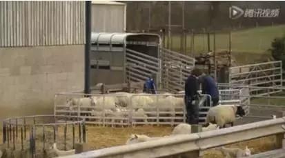 父母不过敏孩子怎么会过敏,皮肤过敏怎么治反复过敏