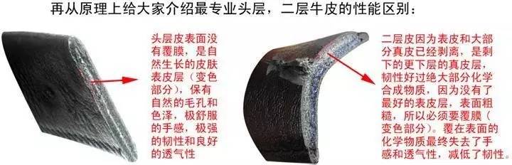 怎么辨别皮革的真假,皮革分类以及辨别标准