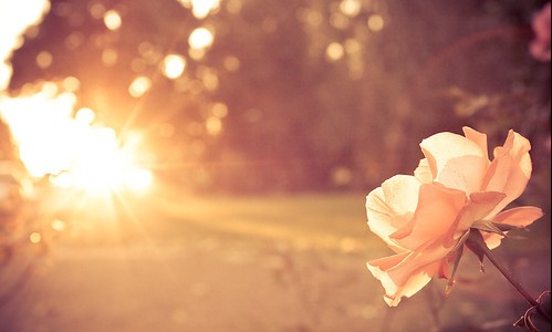 念念有声,我的世界你来过