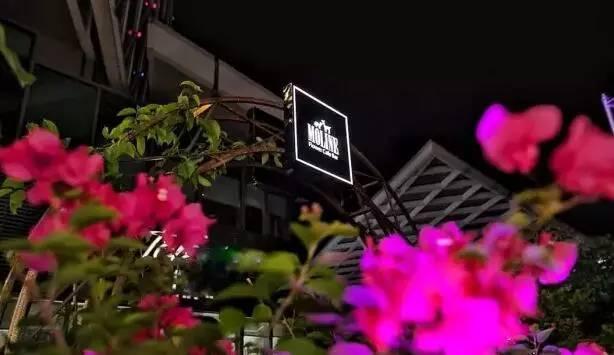 我敢保证，在深圳你就没过过这么妖魅的万圣节！