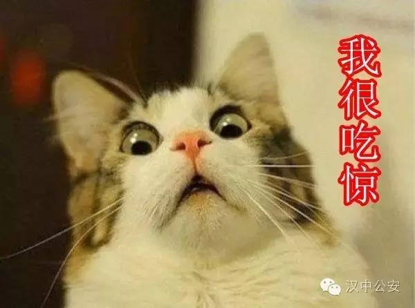 护照被孩子涂画,护照被涂了怎么补救