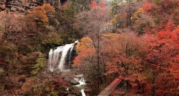 来黎坪看漫天红叶倾尽一城秋色,黎坪红叶照片
