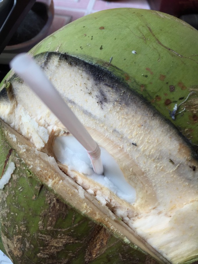 我的第一次出行视频,我的第一次不间断骑行100公里