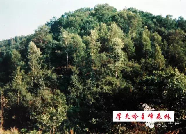 易县蔡家峪风景区有瀑布吗,易县蔡家峪景区人多吗