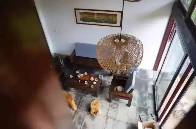 一个隐匿的世外桃源,一间隐藏在市区民宿