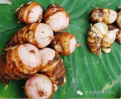 作为一个优秀的吃货,常州有什么好吃的特产