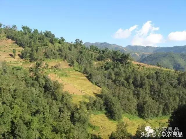 越过山丘一道弯,越过山丘一马平川