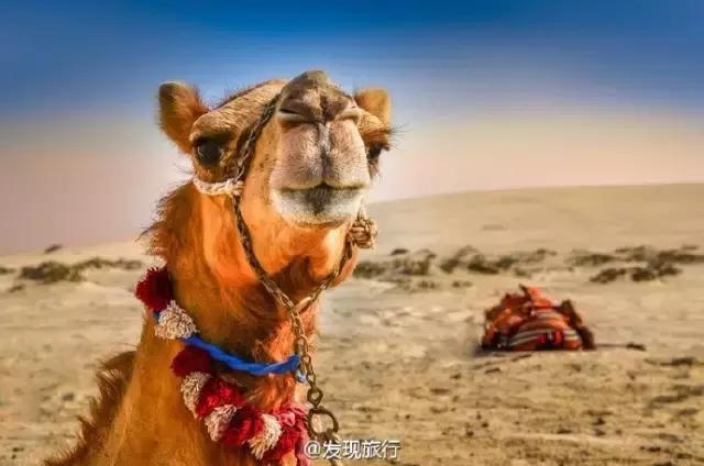 阿联酋免签证旅游攻略,马来西亚护照去阿联酋免签