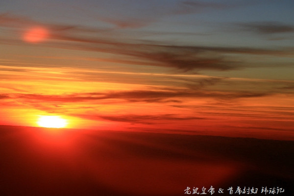 太平洋小小岛国帕劳貌似已被中国人全面占领