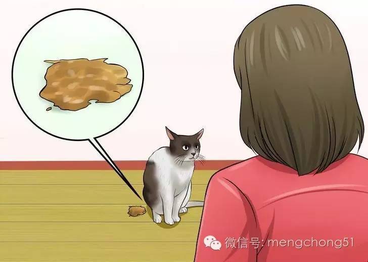 猫咪拉肚子怎么补救,猫咪拉肚子怎么治