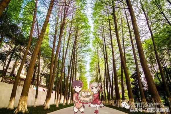 中国最美的大学之一,信阳师院41岁啦