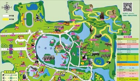 上海野生动物园攻略自驾车,上海野生动物园攻略午餐