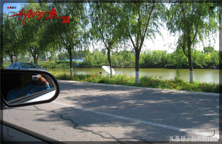 原创我爱飞鱼耍耍耍