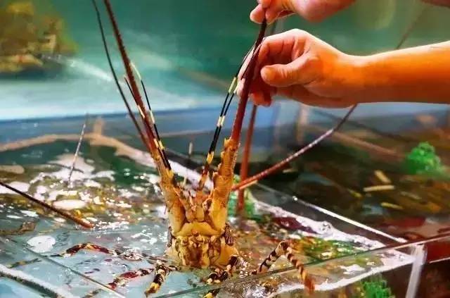 城事今昔,城事今昔完整版