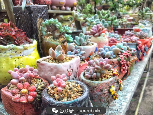 谈谈我的看法和感想,谈谈我对自己的看法