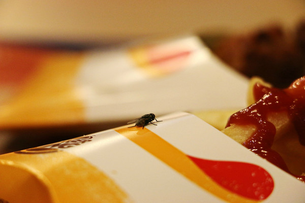 三亚最美的地方在哪里,三亚世界上最美的海在哪里