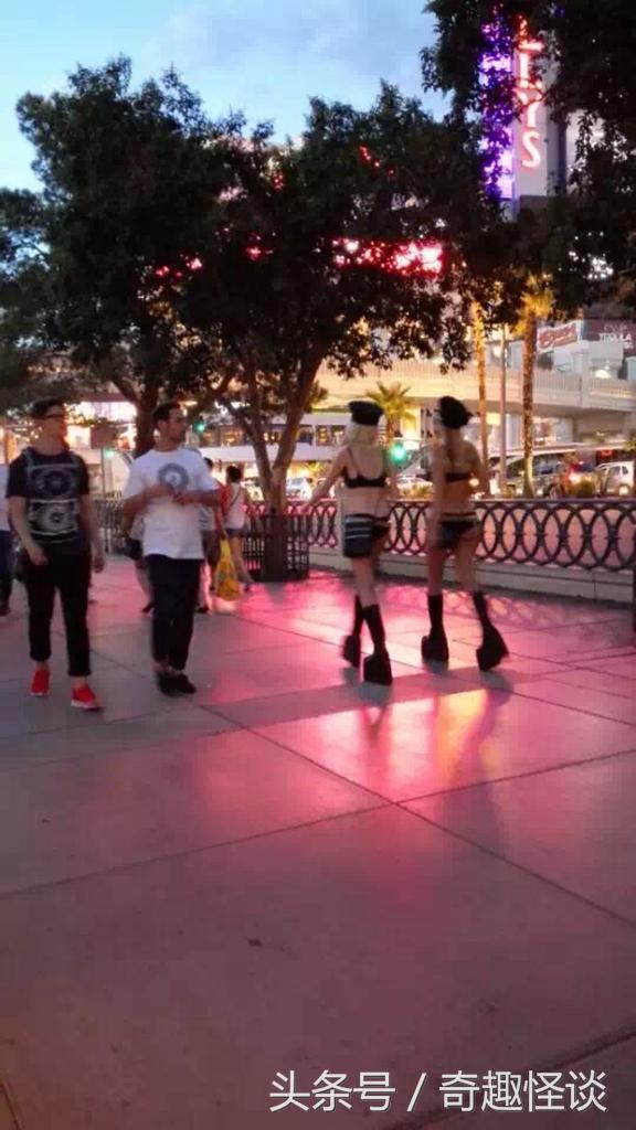 在美国旅游视频教学,美国自由行自驾游