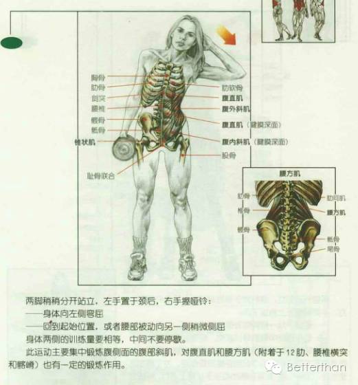最全哑铃教学,手臂哑铃肌肉训练10个动作图解