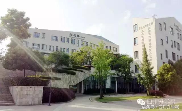 “德瑞系”三大名校——成外、实外、实外西区,究竟谁更牛?