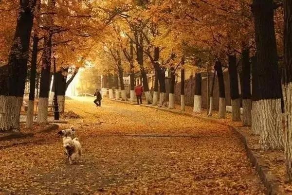 春节旅游飞机便宜的地方,春节旅游飞哪里的机票便宜