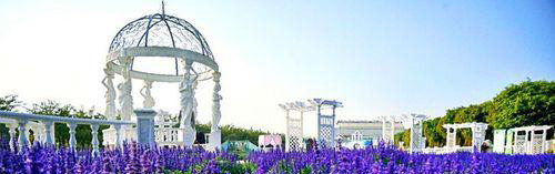 广州百万葵园一日游攻略,百万葵园二日旅游