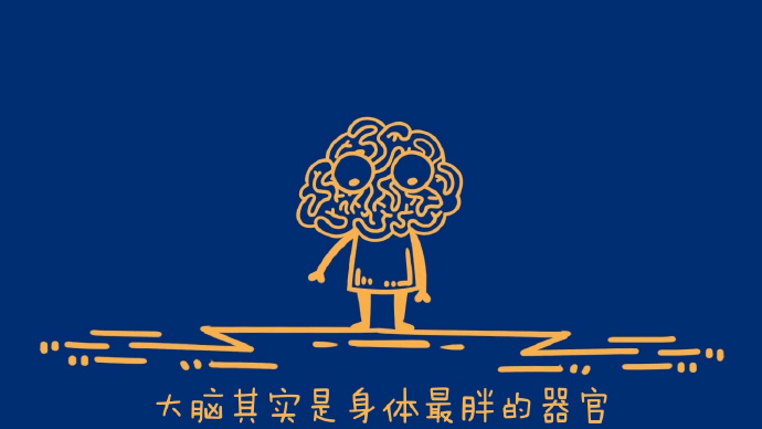 关于大脑的十个冷知识,大脑冷知识100个
