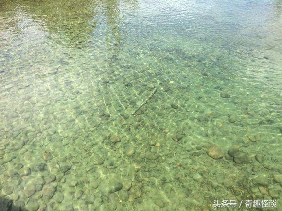 在美国旅游视频教学,美国自由行自驾游