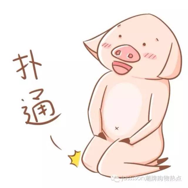 时尚界的动物元素,动物进化论