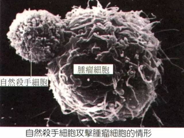 中国人赴国外治疗癌症,癌症治疗之旅