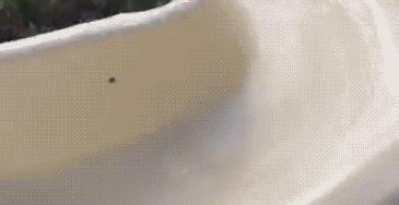 一字马看着都疼,女生一字马最疼时刻