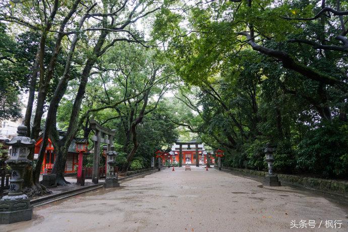 福冈神社在左购物在右,福冈的神社有哪几个