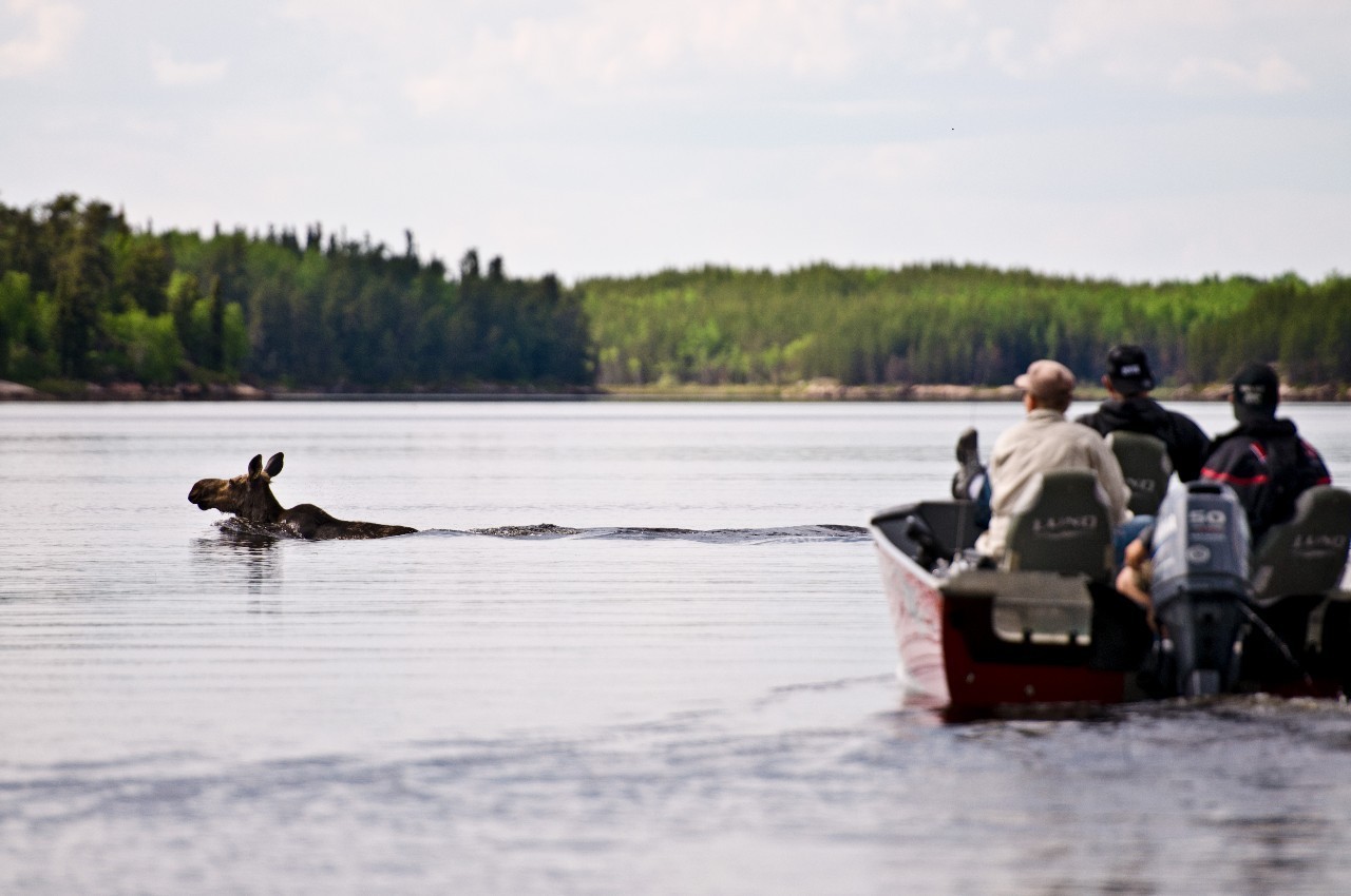 为什么这么多人要去加拿大,去加拿大最应该了解哪些事情