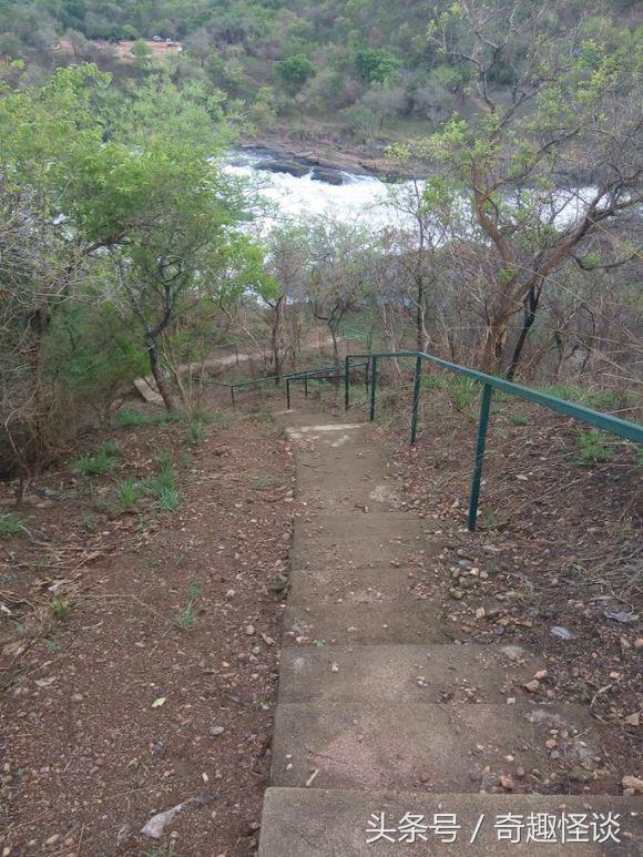 我在非洲工作的日子，给大家介绍下非洲的风土人情