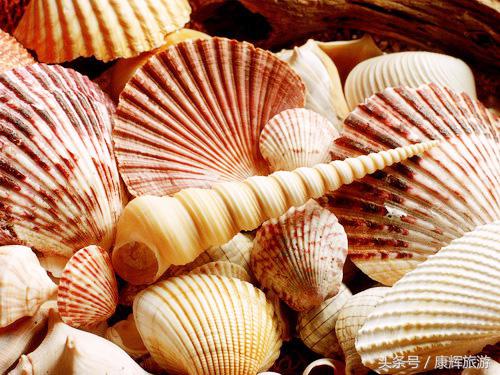 三亚有什么特产值得买,三亚特产有哪些值得买