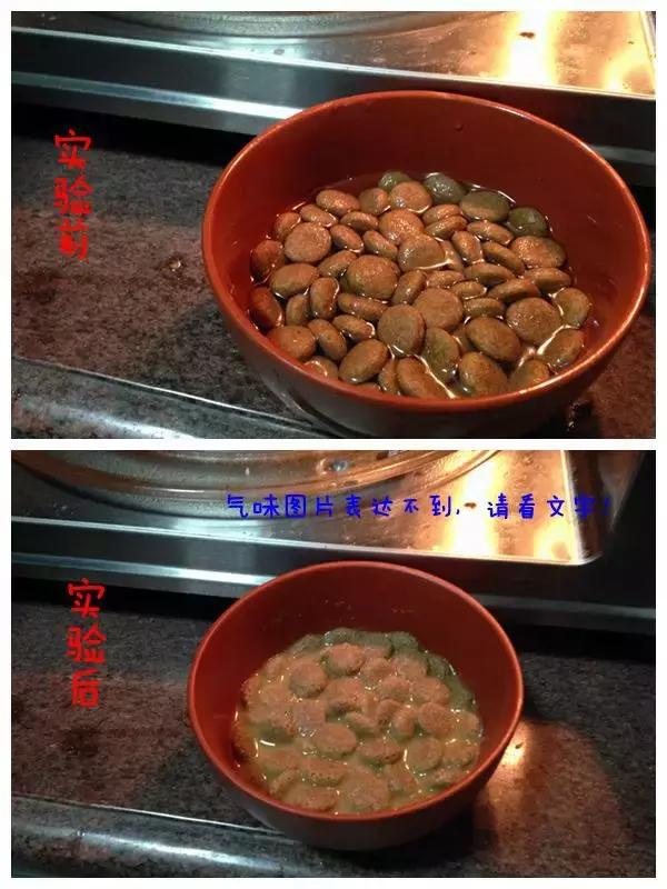 你真的知道该如何选择狗粮吗,如何选择合适的狗粮