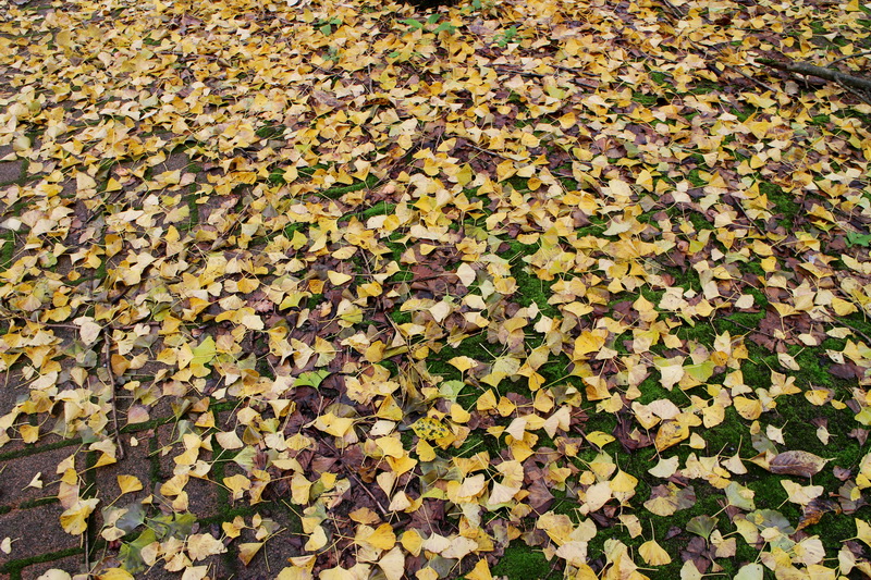 印象武隆属于什么档次,重庆旅行攻略观夜景