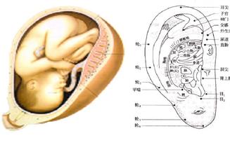 宝宝发烧不去医院吃什么药,宝宝发烧不到38下不去怎么办