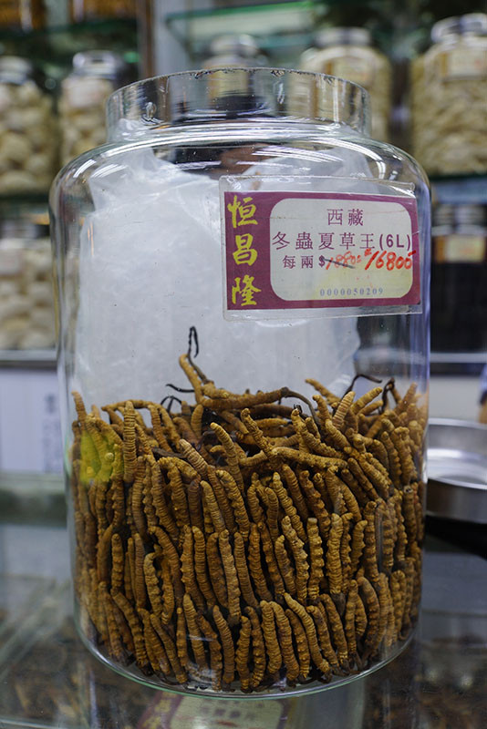 香港哪里购买保健品好,香港哪里买零食保健品便宜