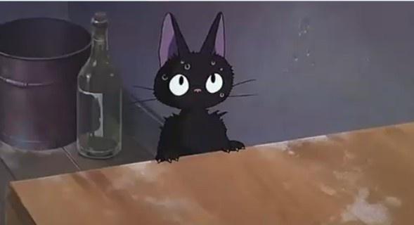 可爱动漫猫图片,十分可爱的动漫猫