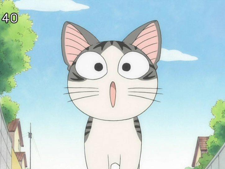 动漫卡通猫的名字,可爱动漫猫图片