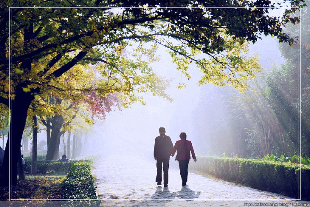 慢性肾脏病2期吃哪些食物最好,慢性肾病应该怎么饮食