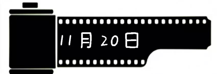 2020十一月观影指南,11月观星指南