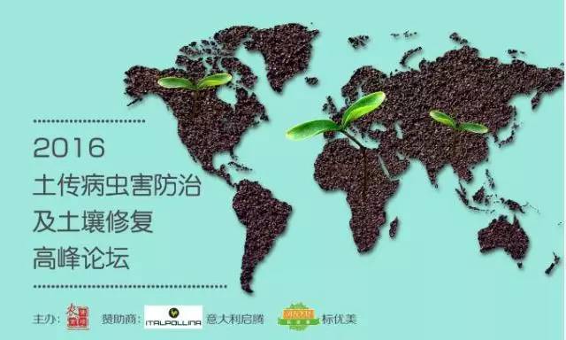 “二传手”——农资经销商的“步步为营”