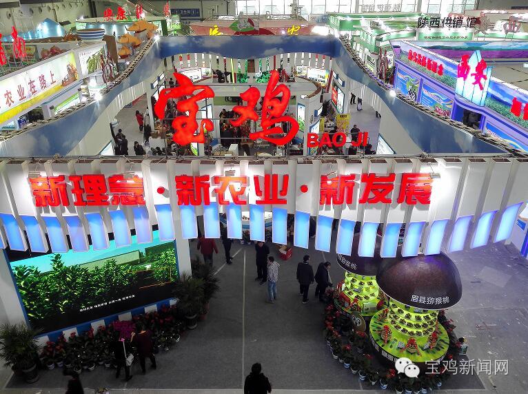 11月4日石家庄新闻发布会,11月4日太原新闻