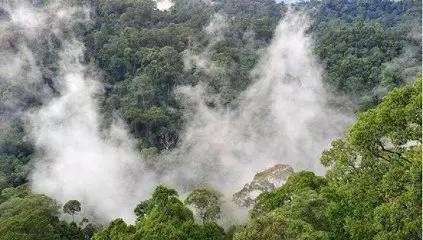 127国免签国家,日本护照免签国家127个